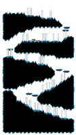 Minimap of Another Path