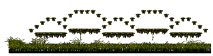 Minimap of Swamp of the Jr.Necki