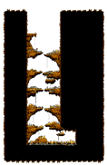 Minimap of Evil Eye's Cave