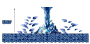 Minimap of Entrance to Horntail's Cave