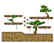 Minimap of Sky Forest : The Train