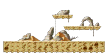 Minimap of White Rock Desert
